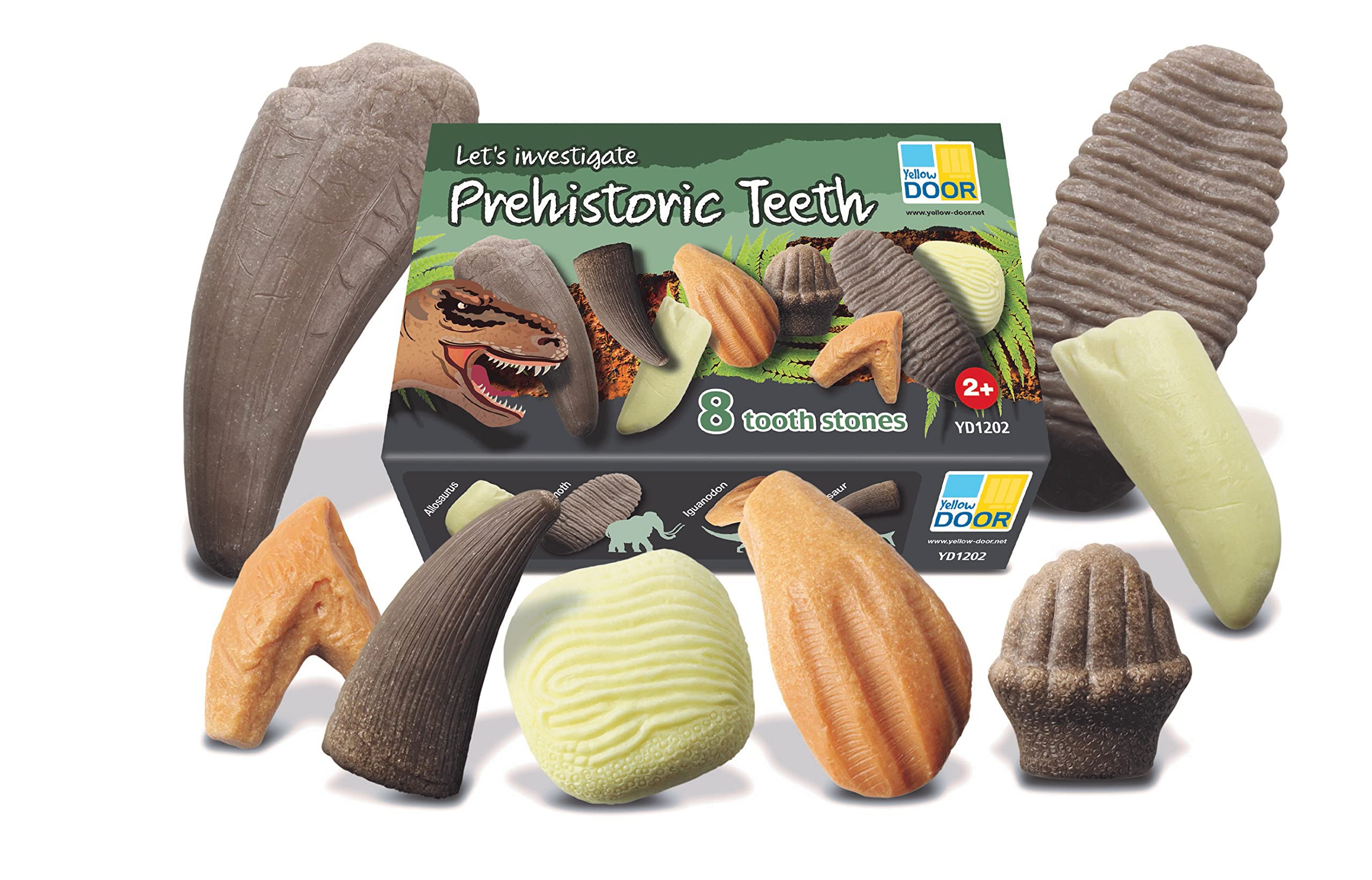 Yellow Door Let's Investigate – Prehistoric Teeth | Dinosaurs |Early educational learning |STEM| fossil dig for kids age 2,3,4,5 |dinosaur fossils |excavation set | Outdoor toys