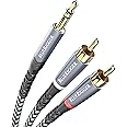 BlueRigger 3.5mm to RCA Audio Cable (10FT, RCA Male to Aux Audio, Braided, Headphone Jack Adapter, Metal Shell) - for Phones, Amplifiers, Tablets, Home Theater, Speakers, HDTV