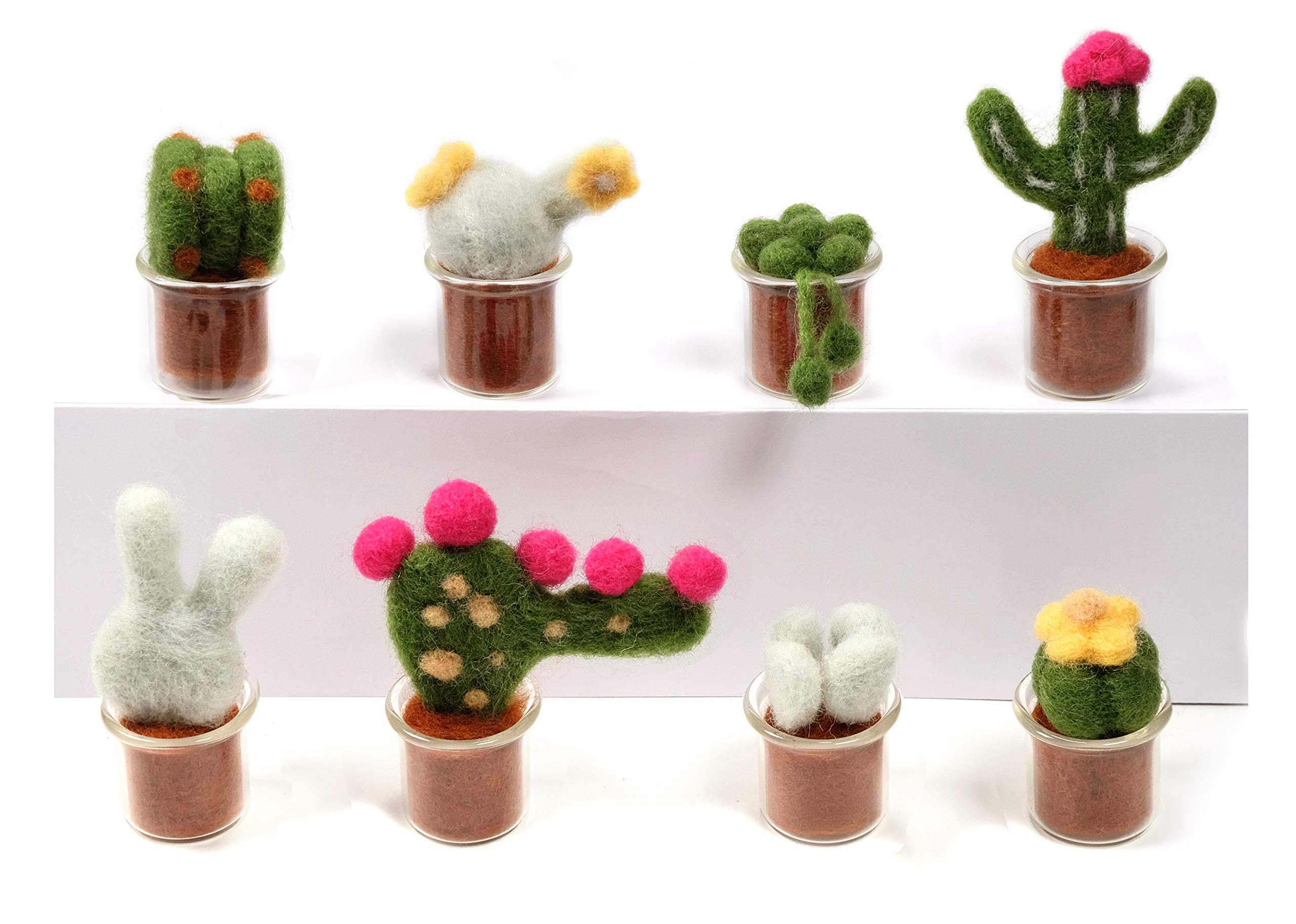 MillyRose Crafts Needle Felting Kit, Needle Felting Kit Beginner Adult - Full Colour Instruction, Cacti Wool Craft Kit, Succulent Felting Kits - Colour Coded Felting Needles