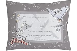 NOJO Warner Brothers Harry Potter Magical Moments Grey and White Keepsake Decorative Throw Pillow