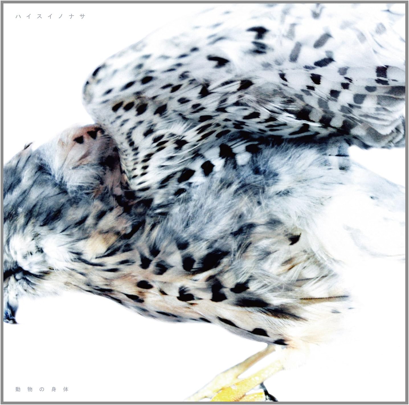 Amazon | 動物の身体 | ハイスイノナサ | J-POP | ミュージック