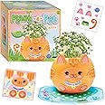 Creativity for Kids Plant-A-Pet: Kitty - Arts and Crafts for Kids Ages 6-8+, Gifts for Girls and Stocking Stuffers for Kids, Boy and Girl Toys, Chia Seed Plant Pet for Kids