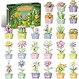 Advent Calendar 2025 Flower Building Blocks, 24 Days of Christmas Countdown Calendar with Botanical Collection for Home Decor