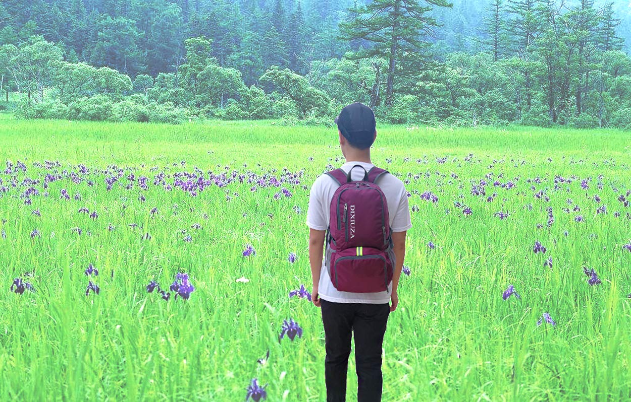 Lightweight Packable Backpack - DIXIUZA Water Resistant 35L Daypack for Travel, Cycling, Hiking, Camping, Beach, Outdoors