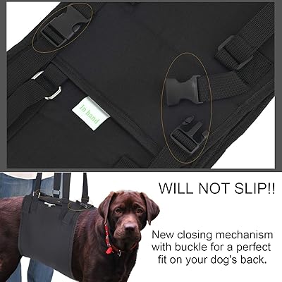 Buy Dog Support Harness 21 Newest Design Dog Lift Harness With Adjustable Support Sling For Canine Aid Thicker Durable Portable Hip Support Harness Helps Canine Hind Leg Support Rehabilitation Online In