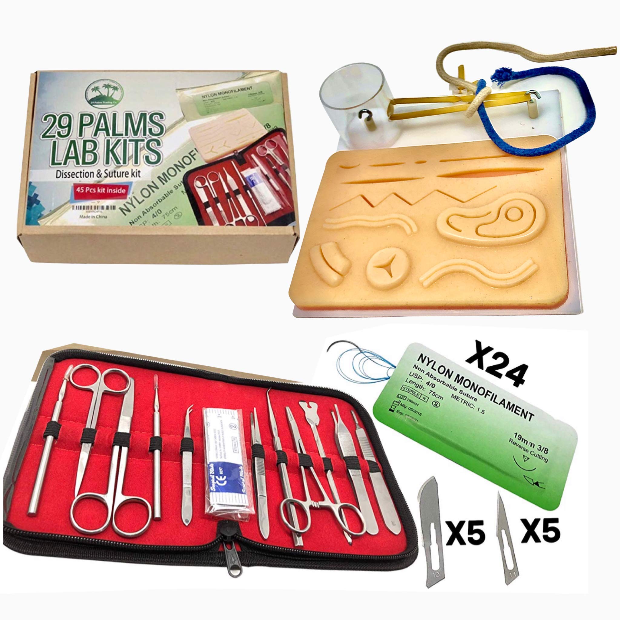 Surgical Sutures: The Right Tools For Painless Removal - goai368