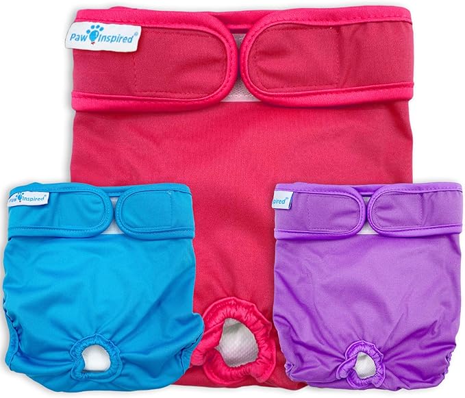 paw paw reusable diapers price