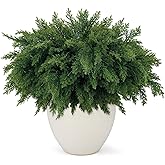 Wsorik 18 Inch Real Touch Cedar Branches - 12 Pcs Artificial Christmas Plants Branches, Faux Greenery Pine Stems Fake Cedar Picks for Vase DIY Crafts, Christmas Pine Branches for Home Indoor Decor