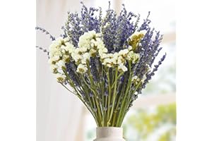 KOCEKO Dried Lavender & Sea Lavender Flowers Bundles - 100% Natural 16" Dry Flowers Bouquet for Vase, Home Decor, Wedding Party Gifts, Floral Arrangement, Home Fragrance, DIY Wreath & Crafts
