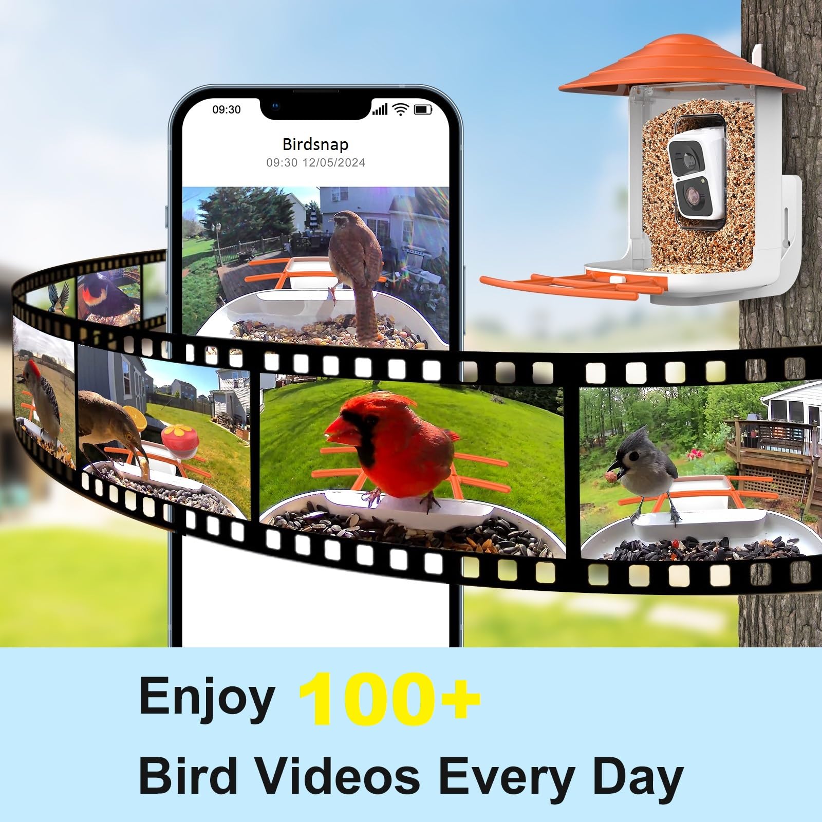 birdsnap® TUC- Bird Feeder with Camera 2K Live