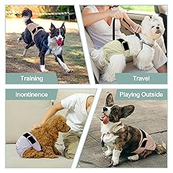 Grecle Washable Female Dog Diapers - Premium