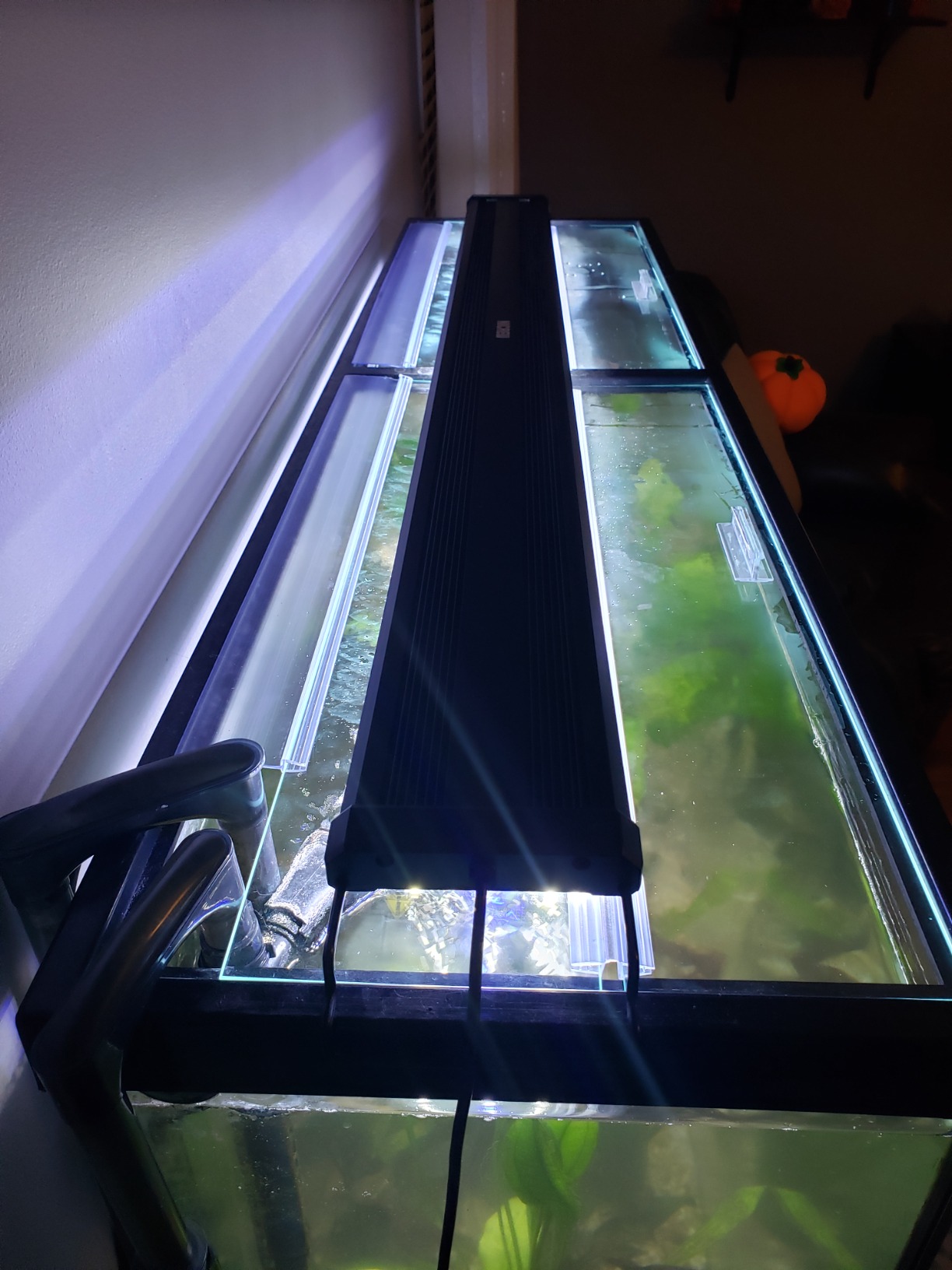 9/mo Finance Aquarium Glass Canopies for Aquariums with & Without