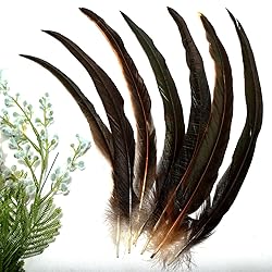 THARAHT 20PCS Rooster Coque Tail Feathers Bulk