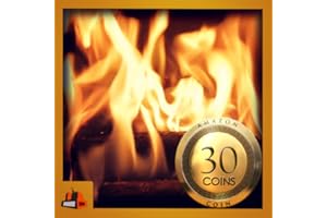 Burning Wood Fireplace