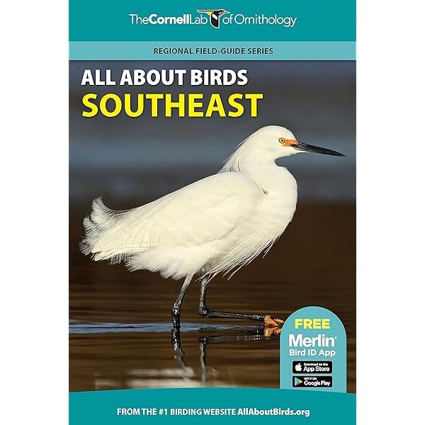 cornell lab all about birds