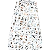Hudson Baby Unisex Baby Mink with Sherpa Inner Sleeping Bag, Sack, Blanket, Alphabet Animals, 0-6 Months