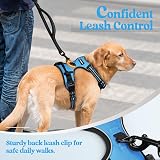 rabbitgoo Dog Harness Medium No Pull Reflective Adjustable Vest Blue M view 7