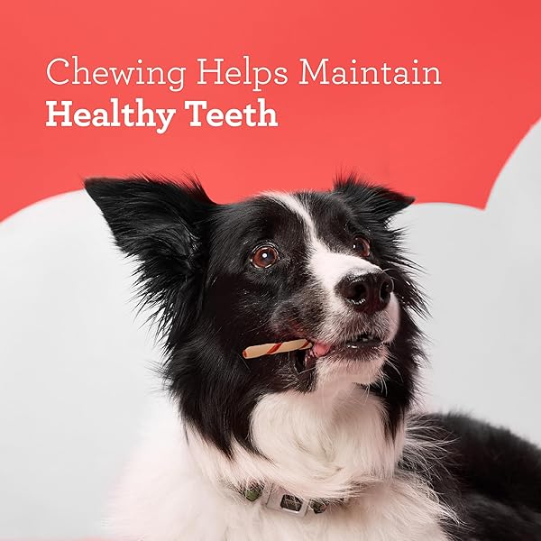 DREAMBONE TWIST STICKS CHEWS FOR DOGS, 50 COUNT, TREAT YOUR DOG TO EASY-TO-DIGEST RAWHIDE-FREE CHEWS MADE WITH REAL VEGETABLES AND CHICKEN