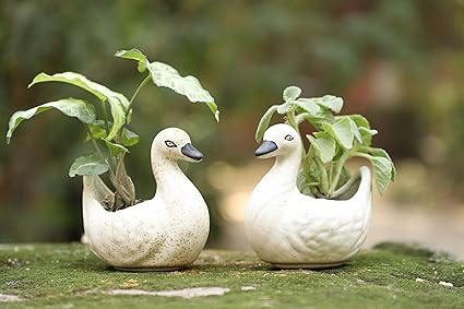 Lyallpur Stores Ceramic Planter Pot Bird Shape - Small (White Color, 10 cm) Plant Not Included