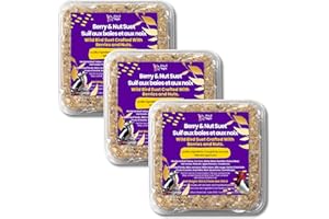 Chirp & Maple, Berry & Nut Suet, Wild Bird Food, (3-Pack) 900g