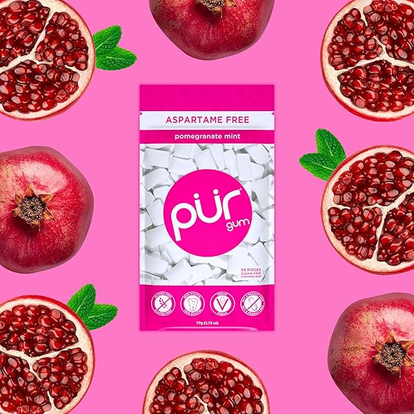 PUR GUM | ASPARTAME FREE CHEWING GUM | 100% XYLITOL | NATURAL POMEGRANATE MINT FLAVORED GUM, 55 PIECES (PACK OF 6)