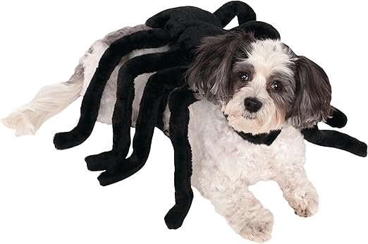 spider outfit for small dogs