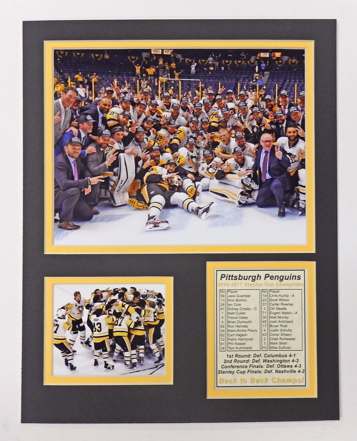 Best Stanley Cup Pictures 2016