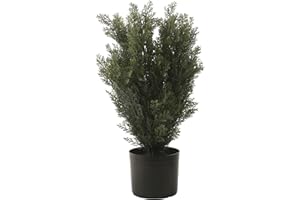 Softflame 2 ft Cedar Topiary Tree for Front Porch Door, 4 feet Faux Potted Plants Fake Pine Cypress Tree, Fake shrubs Bushes Plants for Home Decor