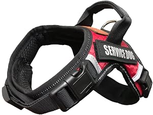 1. Service Dog Vest with Two Buckles by Albcorp