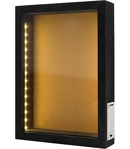 ULTECHNOVO Boîte à Spécimens En Vintage Avec Couvercle Transparent