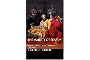 The Majesty of Reason: A Short Guide to Critical Thinking in Philosophy