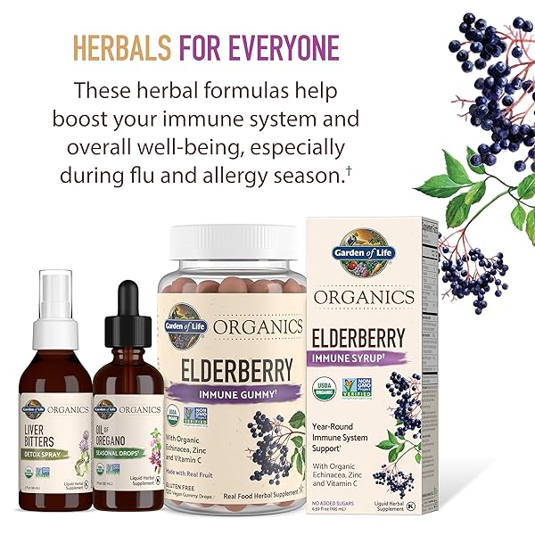 GARDEN OF LIFE ORGANICS ELDERBERRY GUMMIES FOR ADULTS & KIDS – IMMUNE SUPPORT SUPPLEMENT WITH ORGANIC FRUIT, HERBAL BLEND, ELDERBERRY, ECHINACEA, ZINC, VITAMIN C, 120 VEGAN GLUTEN FREE GUMMIES