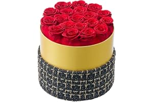 Eterfield Forever Flowers Flowers for Delivery Prime Gifts Preserved Roses in a Box Preserved Flowers Gift for Her Mothers Day Valentines Day (Black)