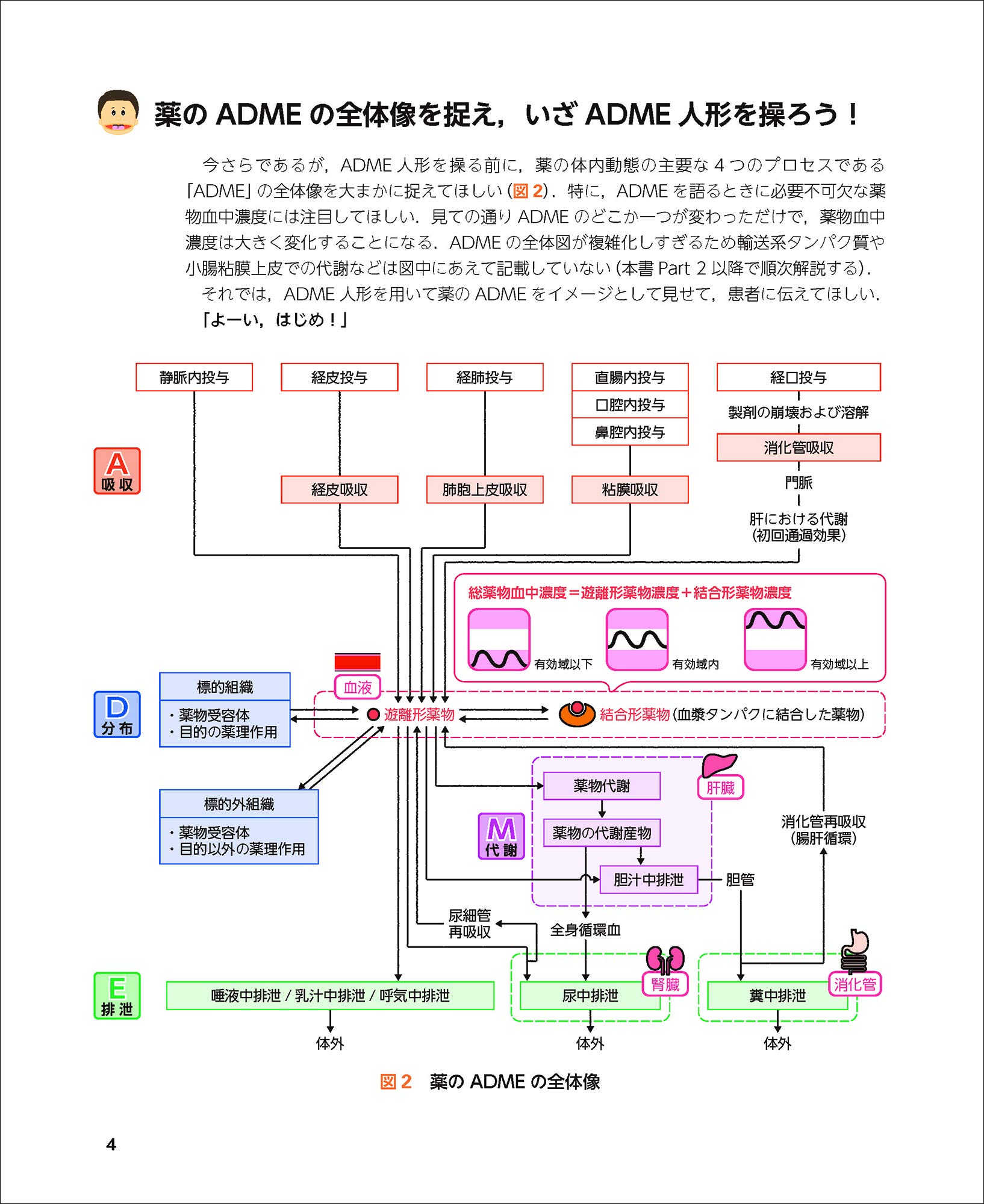 薬のうごきを みえる化 する 一目で伝わるadme図鑑 徳人 高村 本 通販 Amazon 薬のうごきを みえる化 する 一目で伝わるadme図鑑 徳人 高村 本 通販 Amazon