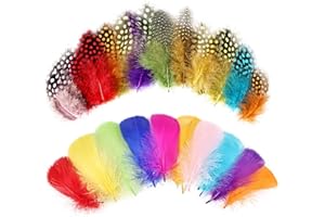 MehelloFeather Colorful Feathers 2 Style Craft Feathers 420Pcs for Handmade DIY Wedding Family Party Decorations Mixed Natural Feathers