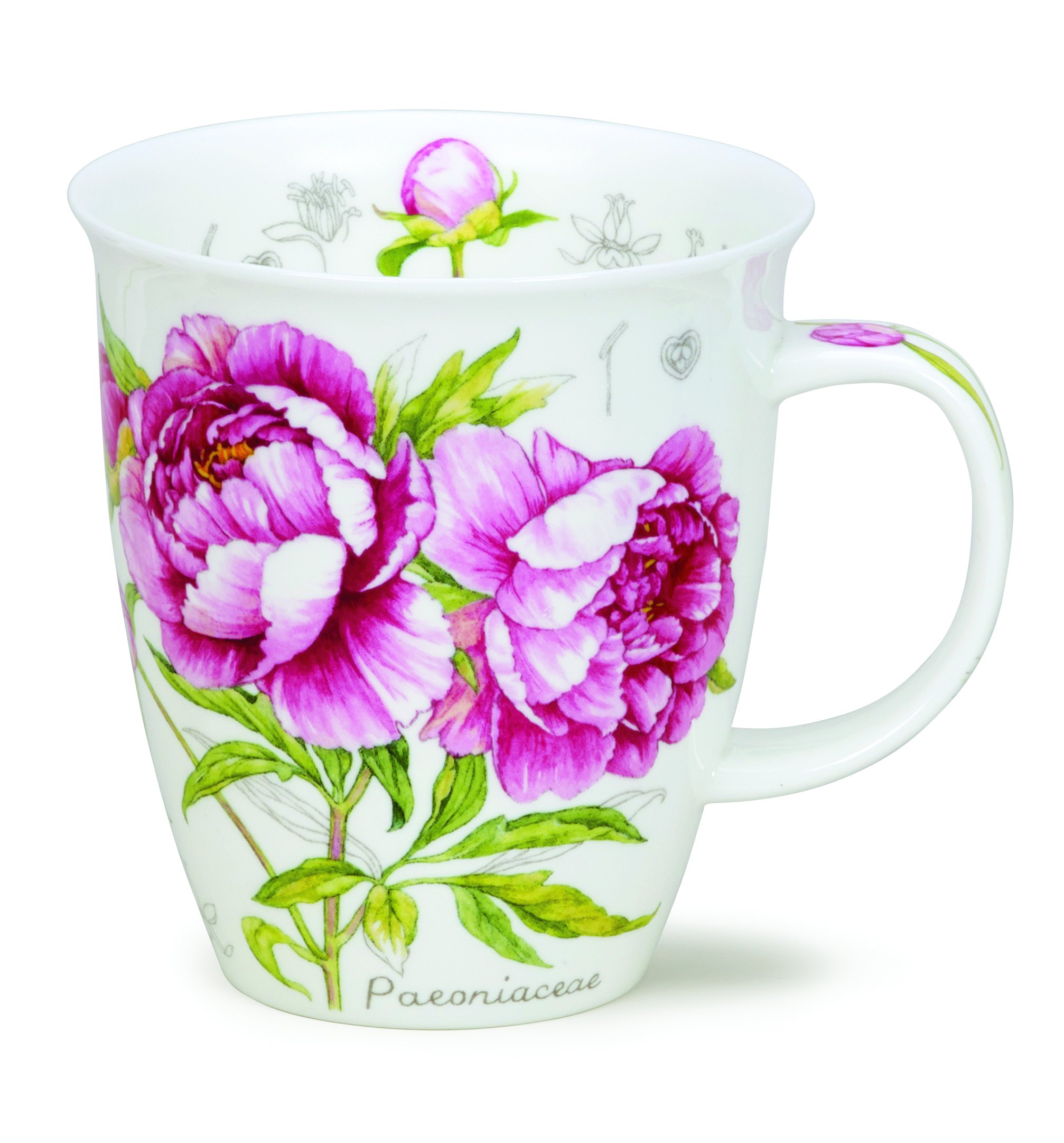 Dunoon Bone China Botanical Sketch Mug (Peony)