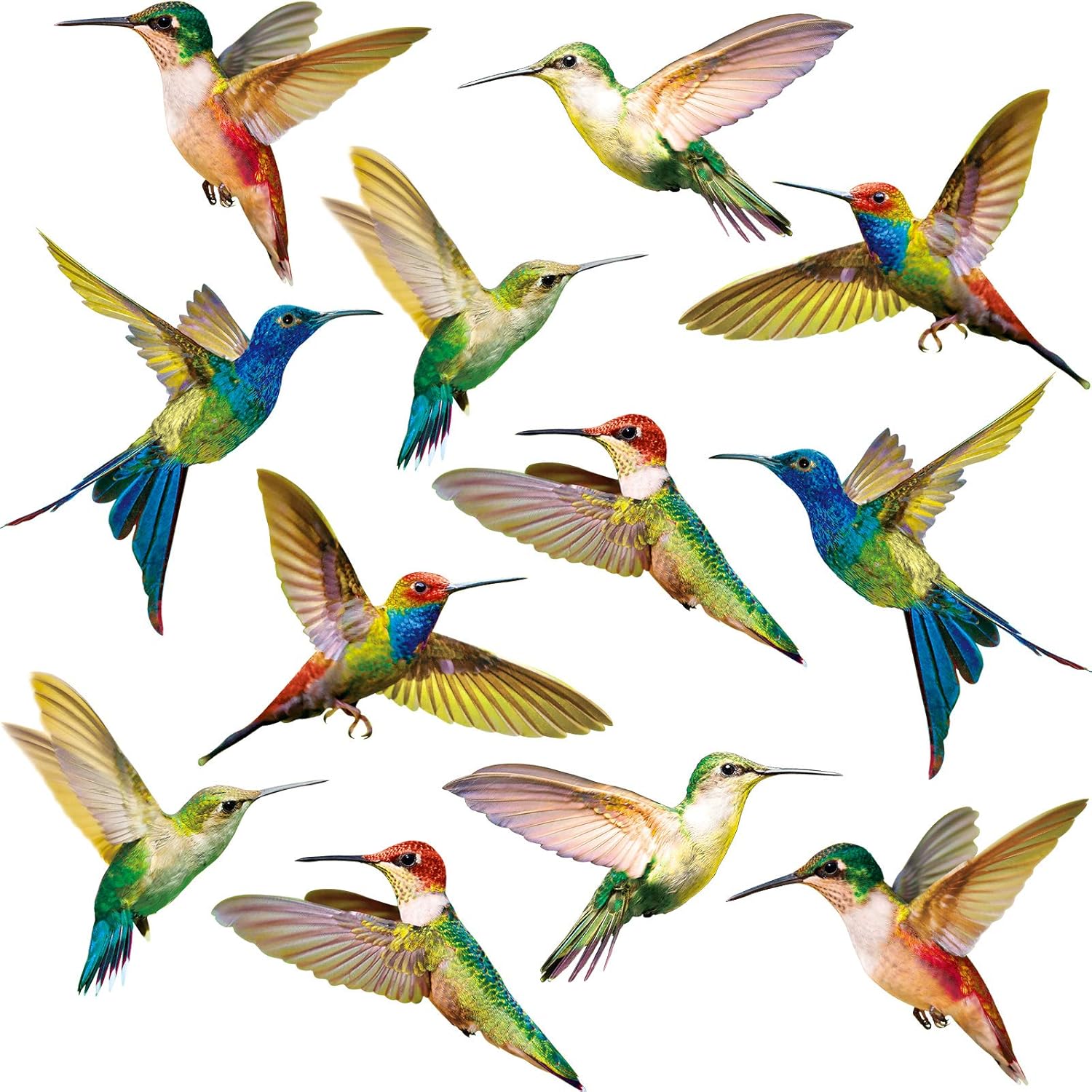 Blulu 18 Pieces Large Size Hummingbird Window Clings Anti-Collision Window Clings Decals to Prevent Bird Strikes on Casement Glass Non Adhesive
