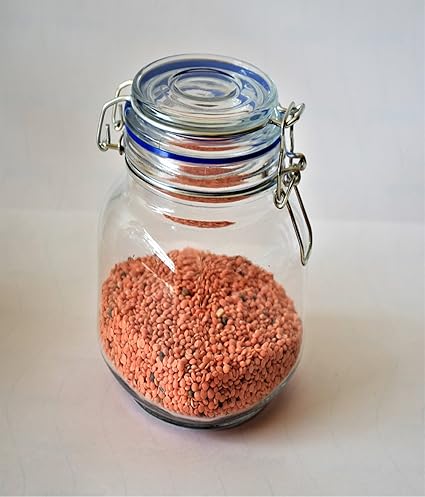 Pure Source India Air Tight 1.5 L Glass Jar with Stainless Steel Clamp Lid and Silicone Seal for