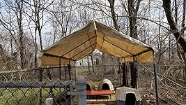 Review Image by gman gman