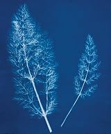 Jacquard Cyanotype Sensitizer Set for Sun Prints on Fabric & Paper view 9