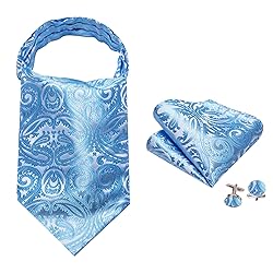 Ailisus Baby Blue Ascot Man Silk Paisley Cravat Tie
