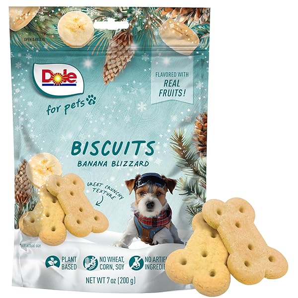 DOLE FOR PETS DOG BISCUITS BANANA BLIZZARD WINTER FLAVOR, REAL FRUIT FLAVOR VEGAN CRUNCHY TREATS, NO WHEAT CORN SOY OR ARTIFICIAL ADDITIVES, BITE SIZE TRAINING SNACKS FOR DOGS, 7 OZ