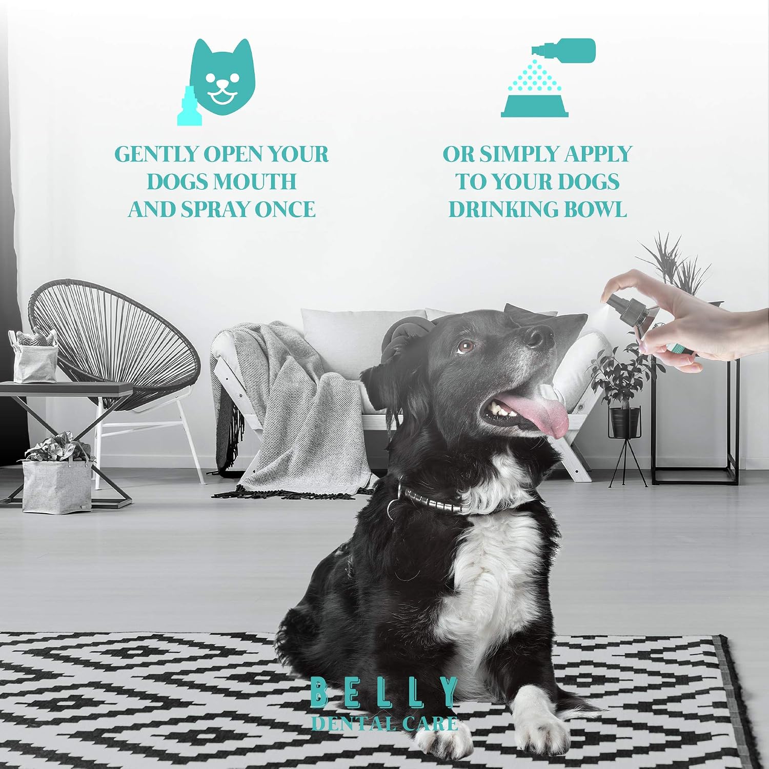 Belly Dental Dog Spray, Dog Breath Freshener & Plaque Remover, Dog Teeth Cleaning Kit - Image 4