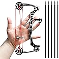 Archery Bow Set Left and Right Hand Compound Bow Hunting Bow Metal Material Catapult RH/LH for Practice Archery
