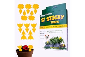 Coremaster Inc Fly Trap and Fruit Fly Trap, Yellow Sticky Gnat Traps for Indoor Houseplants and Outdoor Garden, Non Toxic Dis