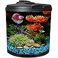 Koller Products AquaView 2-Gallon Aquarium Starter Kit with 7 Colors LED Light and Power Filter, Ideal for a Variety of Tropical Fish