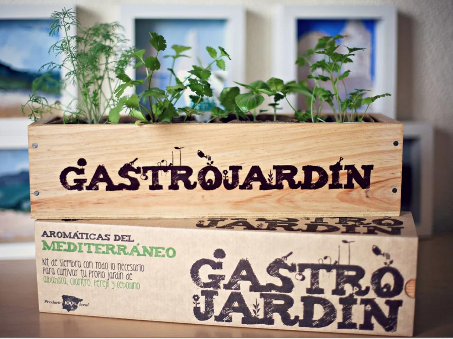 GastroJardín - Kit de siembra aromáticas del Mediterráneo: Amazon ...