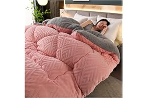SayfuR Super Warm Double-Sided Velvet Quilt Plush Comforter, Lamb Cashmere Warm Quilt Core, Thickened Double-Sided Plush Comforter, Thick Wintering Warm Quilt,Pink,220x240cm/5kg