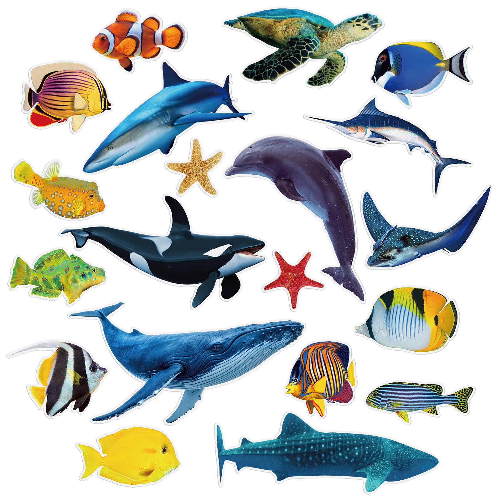Photo 1 of Honoson 20 Pcs Realistic Sea Life Cut Outs Sea Ocean Animal Cardboard Cutouts Tropical Fish Cutouts Ocean Bulletin Board Decor for Summer Under The Sea Party Decorations, 23 x 12 Inches Max