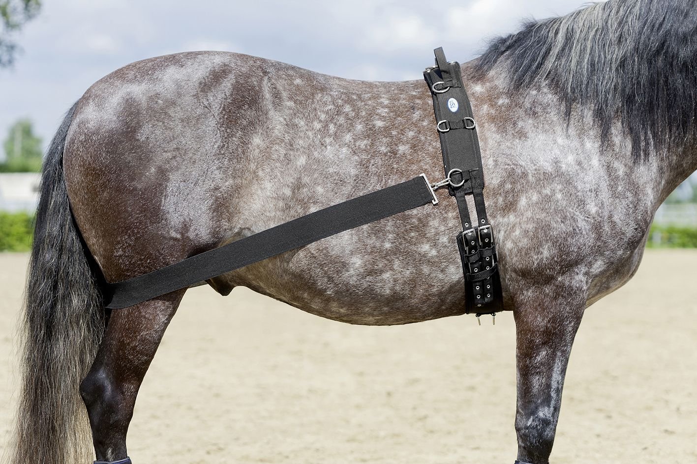 USG Lehmann training system